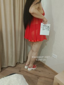 Проститутка Петропавловска Девушка№419718 Новенкая Фотография №3686523