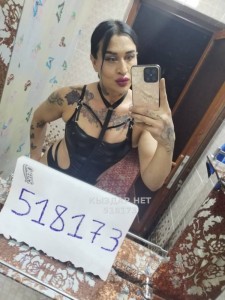 Транс Шымкента Анкета №518173 Фотография №3868604