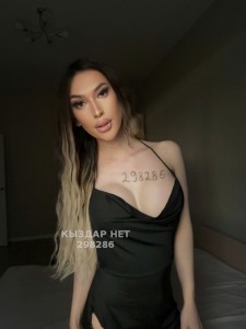 Транс Алматы Анкета №298286 Фотография №3898565